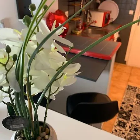 Apartment Coquet *